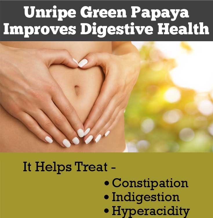 Papaya Improves Digestion