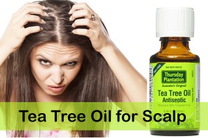 Tea-Tree-Oil-for-Scalp
