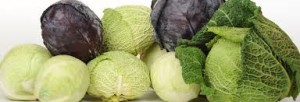 cabbage1